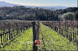 WINERY FOR SALE IN MONTALCINO, 3 HECTARES OF BRUNELLO VINEYARDS