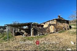 WINERY FOR SALE IN MONTALCINO, 3 HECTARES OF BRUNELLO VINEYARDS