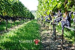 WINE ESTATE FOR SALE IN TRENTINO-ALTO ADIGE