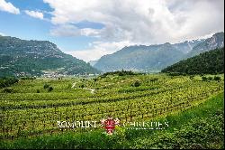 WINE ESTATE FOR SALE IN TRENTINO-ALTO ADIGE