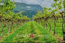 WINE ESTATE FOR SALE IN TRENTINO-ALTO ADIGE