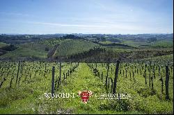 ORGANIC WINERY WITH AGRITURISMO FOR SALE IN CHIANTI, FLORENCE