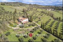 SMALL ESTATE FOR SALE NEAR FLORENCE, TUSCANY