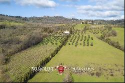 SMALL ESTATE FOR SALE NEAR FLORENCE, TUSCANY