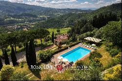 CHIANTI: ESTATE WITH WINE-CELLAR AND AGRITURISMO FOR SALE, RISERVA DI CACCIA