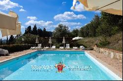 CHIANTI: ESTATE WITH WINE-CELLAR AND AGRITURISMO FOR SALE, RISERVA DI CACCIA