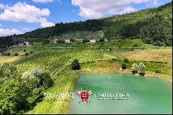 CHIANTI: ESTATE WITH WINE-CELLAR AND AGRITURISMO FOR SALE, RISERVA DI CACCIA