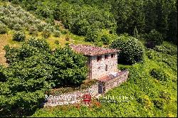 CHIANTI: ESTATE WITH WINE-CELLAR AND AGRITURISMO FOR SALE, RISERVA DI CACCIA