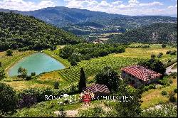 CHIANTI: ESTATE WITH WINE-CELLAR AND AGRITURISMO FOR SALE, RISERVA DI CACCIA