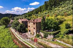 CHIANTI: ESTATE WITH WINE-CELLAR AND AGRITURISMO FOR SALE, RISERVA DI CACCIA