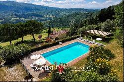 CHIANTI: ESTATE WITH WINE-CELLAR AND AGRITURISMO FOR SALE, RISERVA DI CACCIA