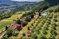 CHIANTI: ESTATE WITH WINE-CELLAR AND AGRITURISMO FOR SALE, RISERVA DI CACCIA