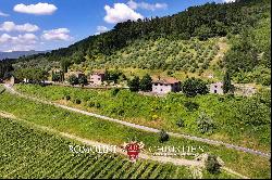 CHIANTI: ESTATE WITH WINE-CELLAR AND AGRITURISMO FOR SALE, RISERVA DI CACCIA