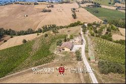 6.9-ha BOUTIQUE ORGANIC WINERY FOR SALE IN ITALY, MARCHE