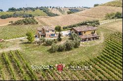 6.9-ha BOUTIQUE ORGANIC WINERY FOR SALE IN ITALY, MARCHE