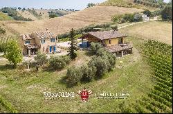 6.9-ha BOUTIQUE ORGANIC WINERY FOR SALE IN ITALY, MARCHE