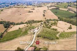 6.9-ha BOUTIQUE ORGANIC WINERY FOR SALE IN ITALY, MARCHE