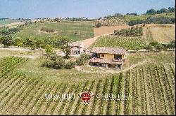 6.9-ha BOUTIQUE ORGANIC WINERY FOR SALE IN ITALY, MARCHE