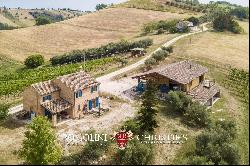 6.9-ha BOUTIQUE ORGANIC WINERY FOR SALE IN ITALY, MARCHE