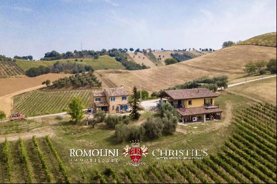 6.9-ha BOUTIQUE ORGANIC WINERY FOR SALE IN ITALY, MARCHE