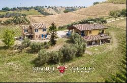 6.9-ha BOUTIQUE ORGANIC WINERY FOR SALE IN ITALY, MARCHE