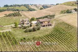 6.9-ha BOUTIQUE ORGANIC WINERY FOR SALE IN ITALY, MARCHE