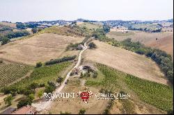 6.9-ha BOUTIQUE ORGANIC WINERY FOR SALE IN ITALY, MARCHE