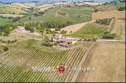 6.9-ha BOUTIQUE ORGANIC WINERY FOR SALE IN ITALY, MARCHE