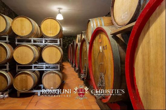 ORGANIC WINERY FOR SALE IN CHIANTI CLASSICO, TUSCANY