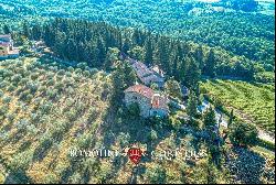 ORGANIC WINERY FOR SALE IN CHIANTI CLASSICO, TUSCANY