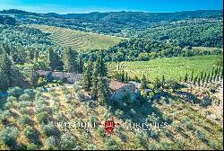 ORGANIC WINERY FOR SALE IN CHIANTI CLASSICO, TUSCANY