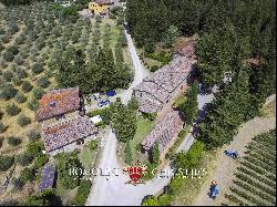 ORGANIC WINERY FOR SALE IN CHIANTI CLASSICO, TUSCANY