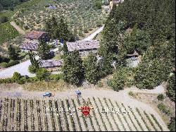 ORGANIC WINERY FOR SALE IN CHIANTI CLASSICO, TUSCANY