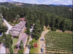 ORGANIC WINERY FOR SALE IN CHIANTI CLASSICO, TUSCANY