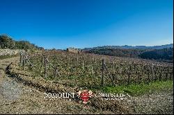 CHIANTI CLASSICO DOCG: PRESTIGIOUS WINE ESTATE FOR SALE