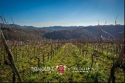 CHIANTI CLASSICO DOCG: PRESTIGIOUS WINE ESTATE FOR SALE