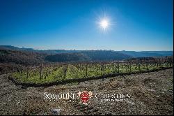 CHIANTI CLASSICO DOCG: PRESTIGIOUS WINE ESTATE FOR SALE