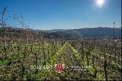 CHIANTI CLASSICO DOCG: PRESTIGIOUS WINE ESTATE FOR SALE