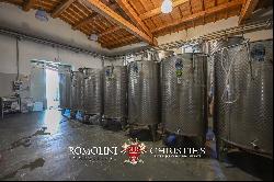 VINEYARDS & WINERY FOR SALE NEAR THE TUSCAN COAST, MAREMMA DOC