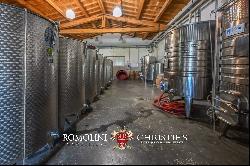 VINEYARDS & WINERY FOR SALE NEAR THE TUSCAN COAST, MAREMMA DOC