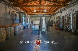 VINEYARDS & WINERY FOR SALE NEAR THE TUSCAN COAST, MAREMMA DOC