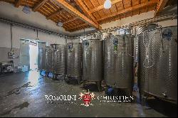 VINEYARDS & WINERY FOR SALE NEAR THE TUSCAN COAST, MAREMMA DOC