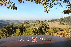 WINE ESTATE WITH 31 HECTARES OF VINEYARDS FOR SALE IN MONTEPULCIANO, TUSCANY