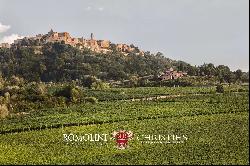 WINE ESTATE WITH 31 HECTARES OF VINEYARDS FOR SALE IN MONTEPULCIANO, TUSCANY