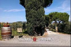 WINE ESTATE WITH 31 HECTARES OF VINEYARDS FOR SALE IN MONTEPULCIANO, TUSCANY