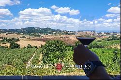 WINE ESTATE WITH 31 HECTARES OF VINEYARDS FOR SALE IN MONTEPULCIANO, TUSCANY