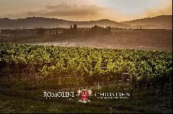 WINE ESTATE WITH 31 HECTARES OF VINEYARDS FOR SALE IN MONTEPULCIANO, TUSCANY