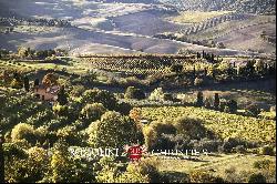 WINE ESTATE WITH 31 HECTARES OF VINEYARDS FOR SALE IN MONTEPULCIANO, TUSCANY