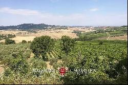 WINE ESTATE WITH 31 HECTARES OF VINEYARDS FOR SALE IN MONTEPULCIANO, TUSCANY