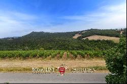 ORGANIC WINE ESTATE WITH 96 HA OF VINEYARDS FOR SALE IN MAREMMA, TUSCANY